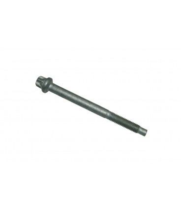 TORNILLO FIJACION BRIDA PORTA INYECTOR