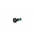 TORNILLO VOLANTE 9 x125 - 20