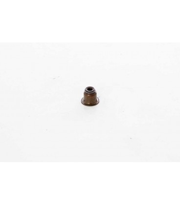 RETEN VALVULA PSA, FORD 1.6 HDI DV6